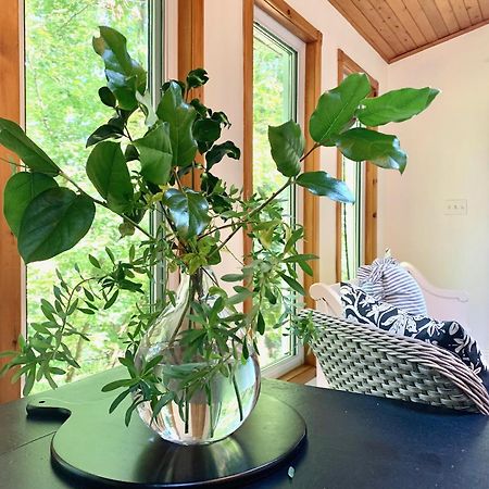 Plantation House Bed & Breakfast Порт Хоуп Екстериор снимка