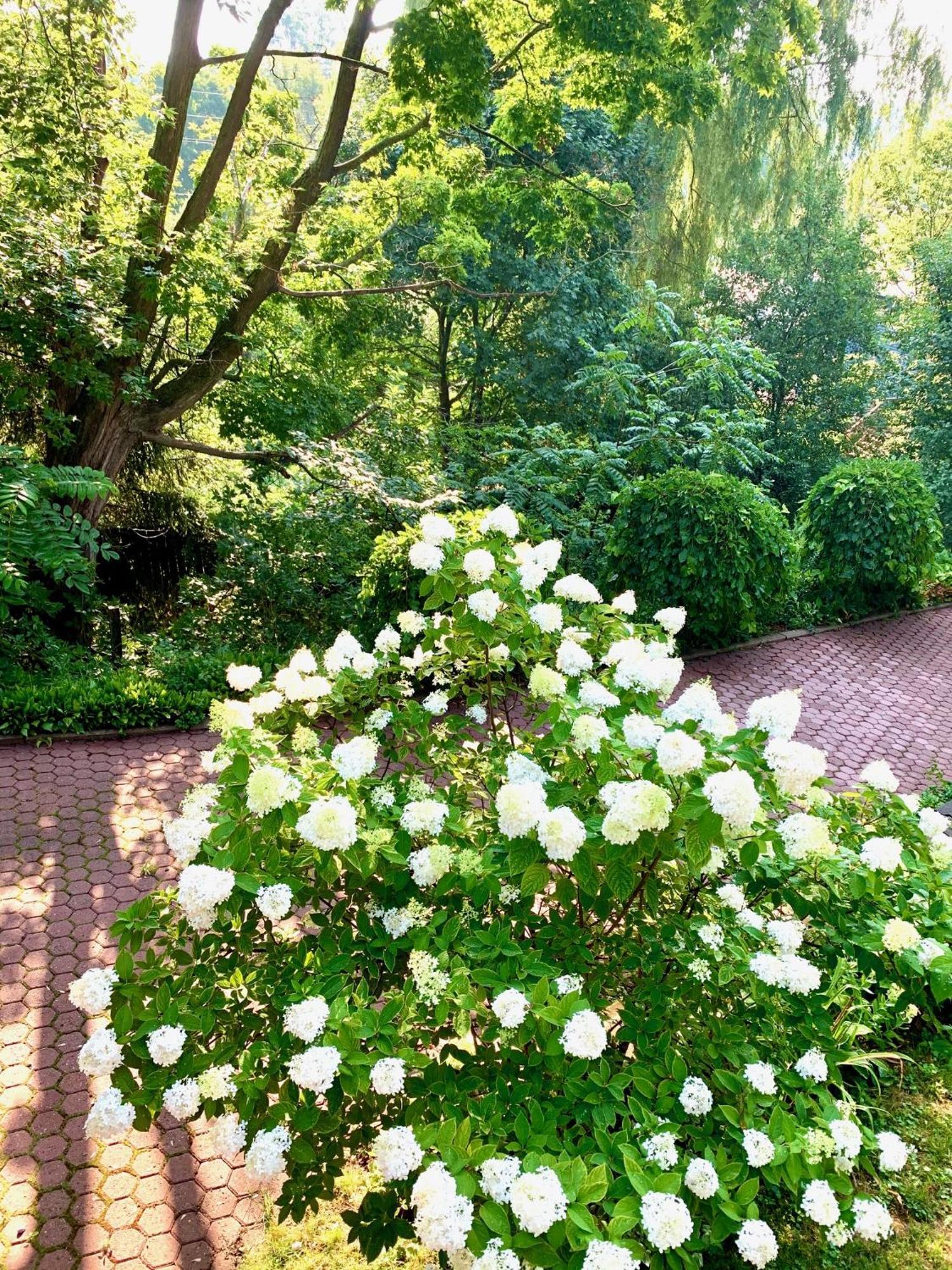 Plantation House Bed & Breakfast Порт Хоуп Екстериор снимка