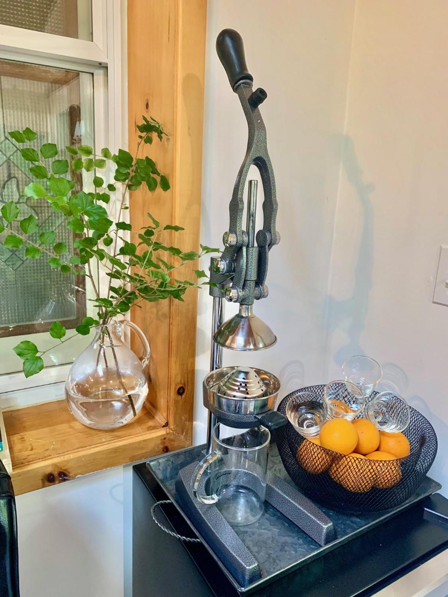 Plantation House Bed & Breakfast Порт Хоуп Екстериор снимка